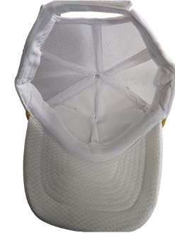 Officer's P cap White BSF