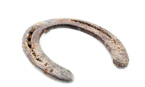 Horse Shoe & Nails