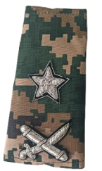 BSF NEW RANK SET CAMOUFLAGE INSPECTOR GENERAL (IG) MACHINE ZARI