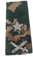 BSF NEW RANK SET CAMOUFLAGE INSPECTOR GENERAL (IG) MACHINE ZARI