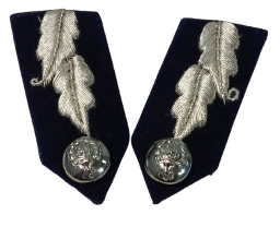 Collar Doc IG