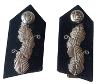 Collar Doc DG