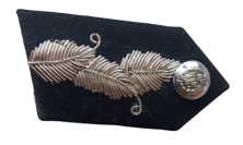 Collar Doc DG