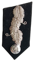 Collar Doc DG