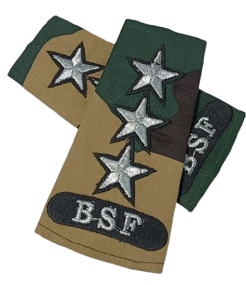 Rank Set Assistant Commandant Camouflage Embroidered BSF BSF