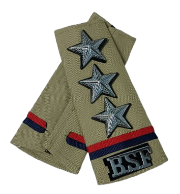 Rank Set Inspector BSF
