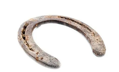 Horse Shoe & Nails